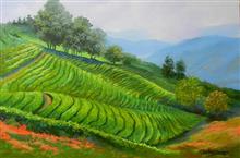 Munnar Tea Plantation, Painting by Chitra Vaidya, Acrylic on Canvas , 24 x 36 inches