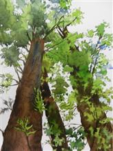 Looking up through the trees, Painting by Chitra Vaidya, Watercolour on Paper, 14 X 10 inches