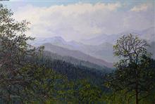 View of Mountain Ranges in Himachal, Painting by Chitra Vaidya, Oil on Canvas, 24 x 36 inches