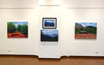 Exhibitions of Chitra Vaidya